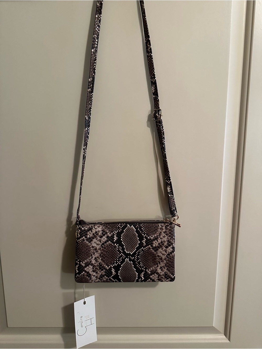Snake-Print Crossbody Bag in Brown and Black